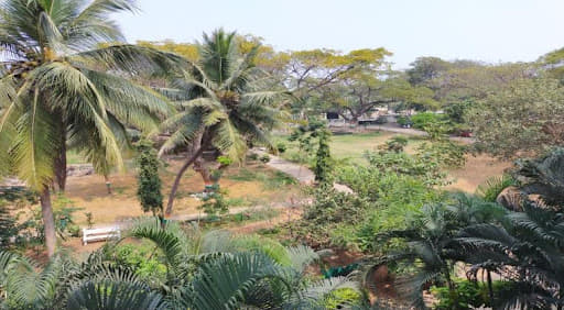 Visakha Government Degree College for Women Visakhapatnam College photos photo 1